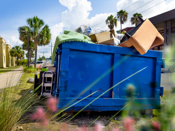 Best Carpet Removal and Disposal  in St James, MN